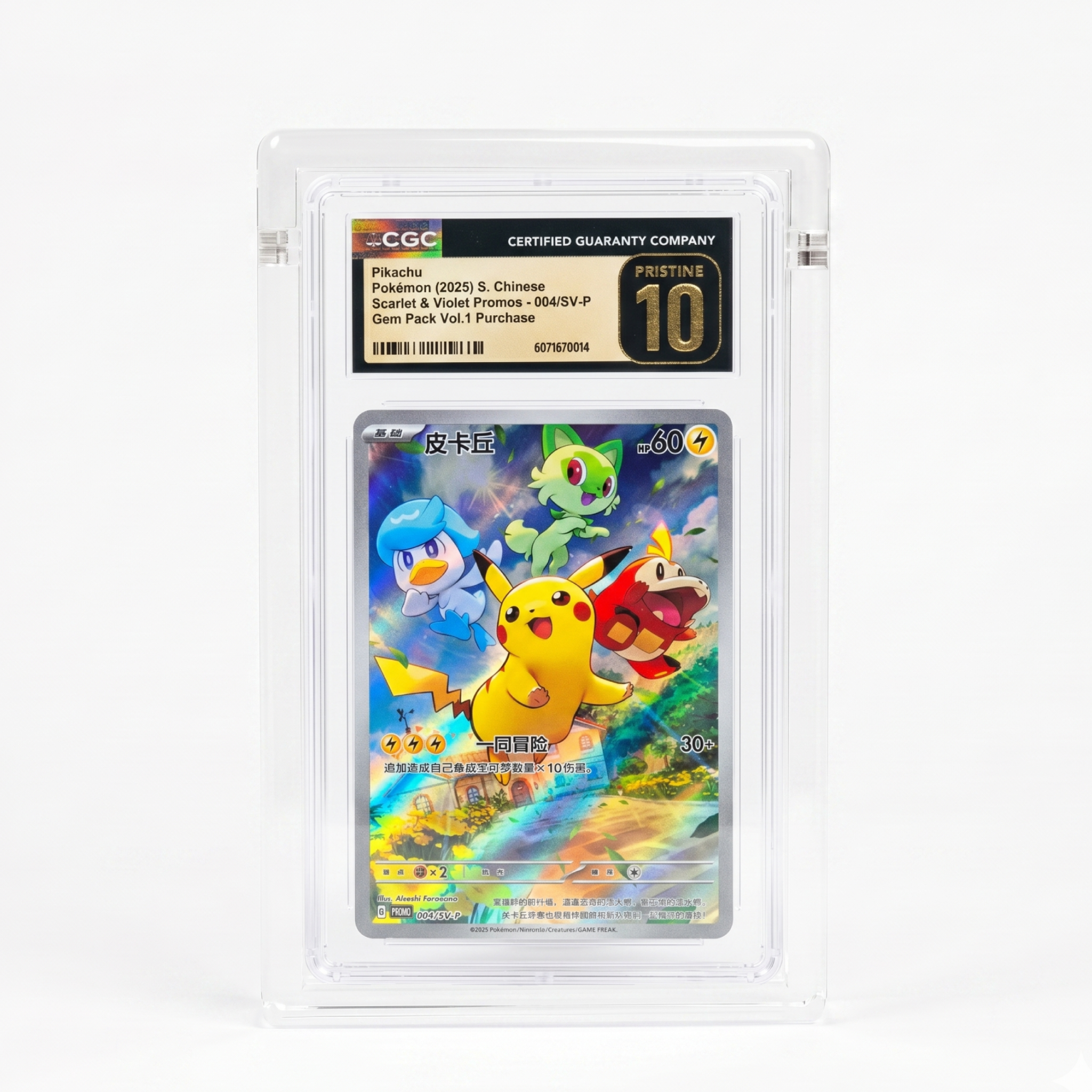Caja Acrílica Premium para Slabs CGC